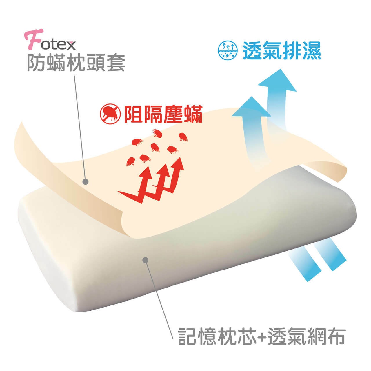 Fotex防蟎柔雲記憶枕 材質結構